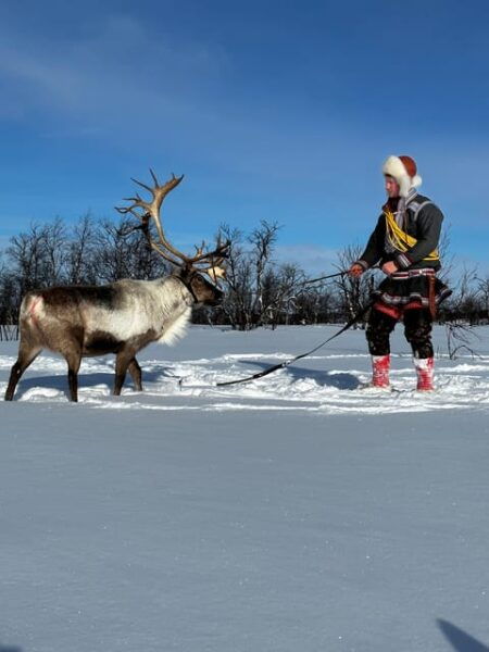 Authentic Sami Reindeer Herding Adventure in Arctic Norway - Flexible Scheduling
