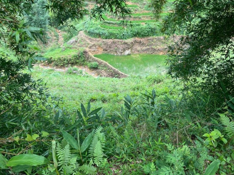 Authentic Sapa 2D1N Trek & Hmong Homestay With Dinh - Day 2: Continuing the Trek and Visiting Giang Ta Chai Waterfall