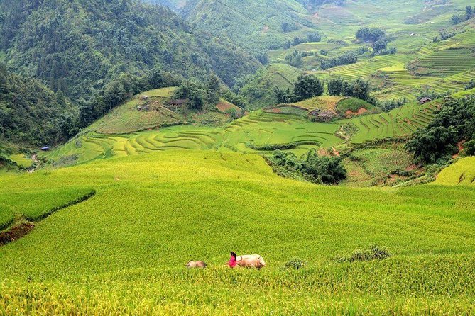 Authentic Sapa 3 Days 2 Nights 3star Hotel Trekking and Relaxing - Highlights