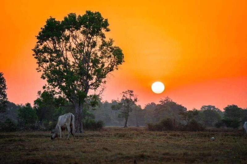Authentic Siem Reap: Tuk Tuk Countryside and Sunset Tour - Good To Know