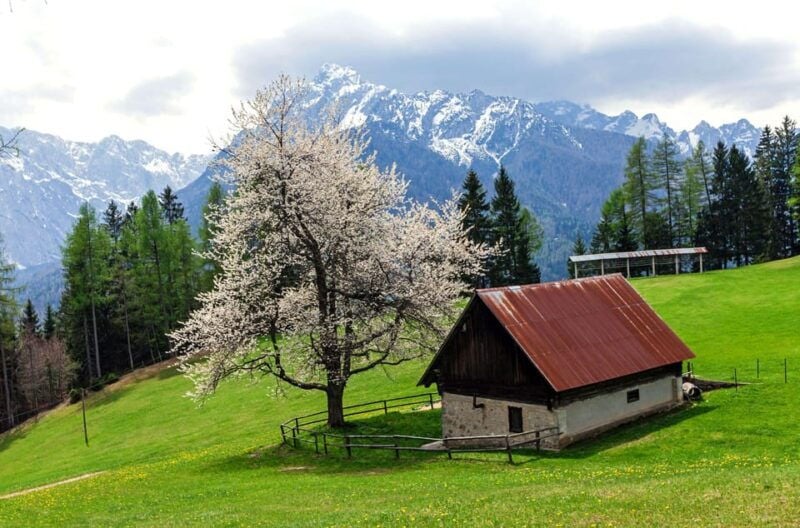 Authentic Slovenia: A Mystery Travel Day Tour - Exploring Slovenia Differently: What This Tour Offers