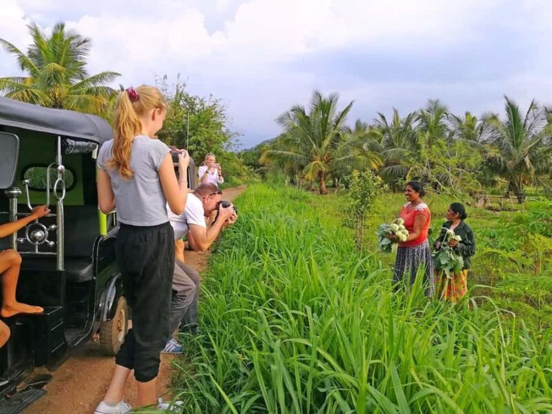 Authentic Sri Lanka: Private Transport for 7 Days Round Tour - Why Choose This Tour?