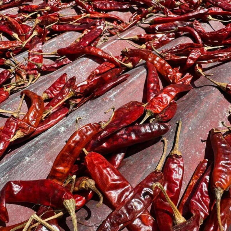 Authentic Sri Lankan Village Experience with Local Family - Good To Know