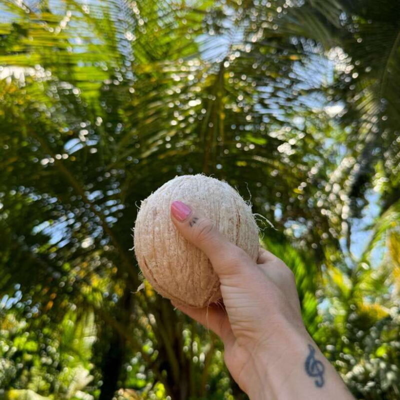 Authentic Sri Lankan Village Experience with Local Family - Good To Know