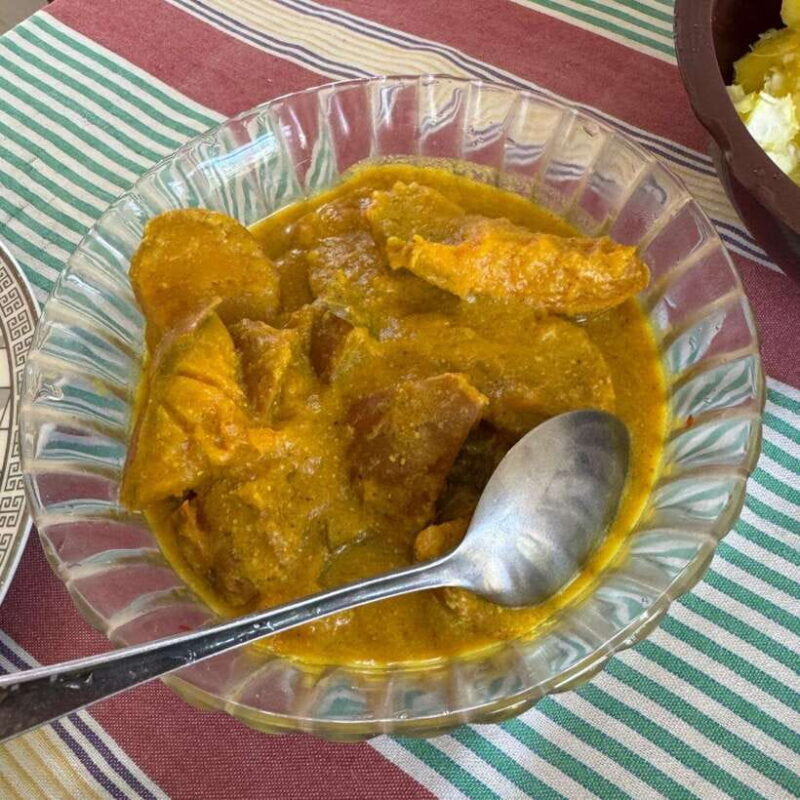 Authentic Sri Lankan Village Experience with Local Family - The Sum Up