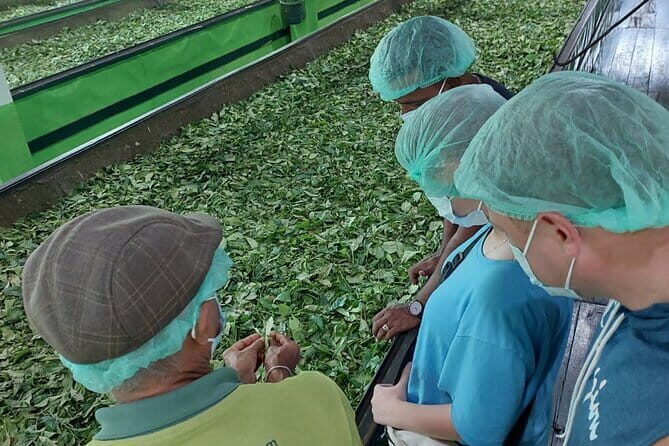 Authentic Sri Lankan Villages Private Guided Tour with Lunch - Good To Know