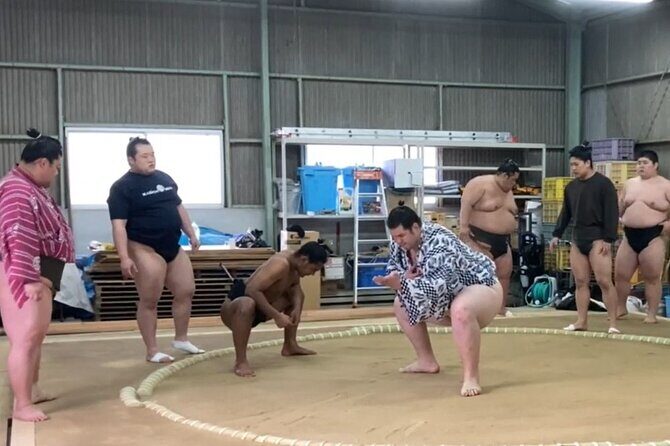 Authentic Sumo Stable Morning Training Experience Osaka - Authentic Sumo Stable Morning Training Experience Osaka
