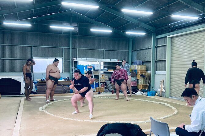Authentic Sumo Stable Morning Training Experience Osaka - Why this sumo training tour is worth considering