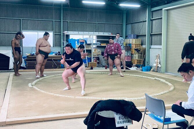 Authentic Sumo Stable Morning Training Experience Osaka - Who is this experience best suited for?
