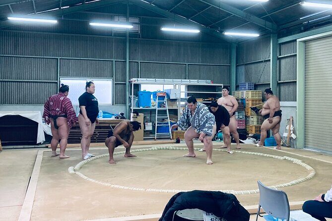 Authentic Sumo Stable Morning Training Experience Osaka - FAQ