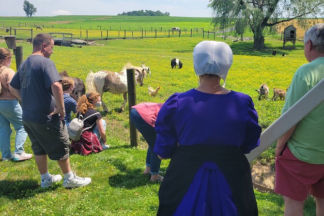 Authentic Tour & Meal With the Amish! - Logistics and Details