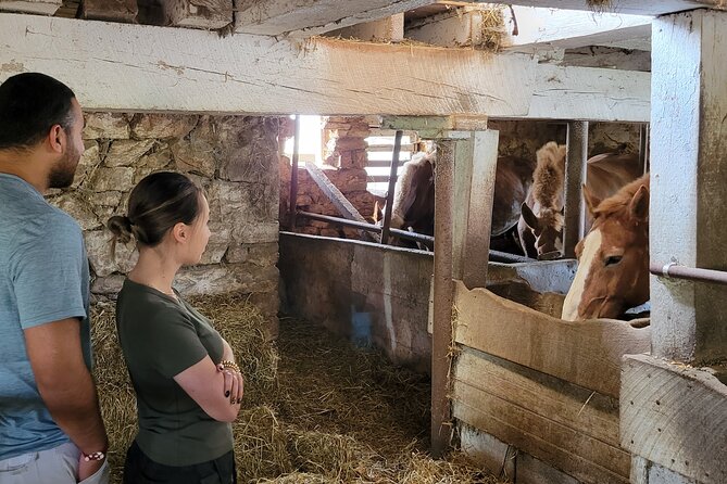 Authentic Tour & Meal With the Amish! - Positive Reviews About the Food