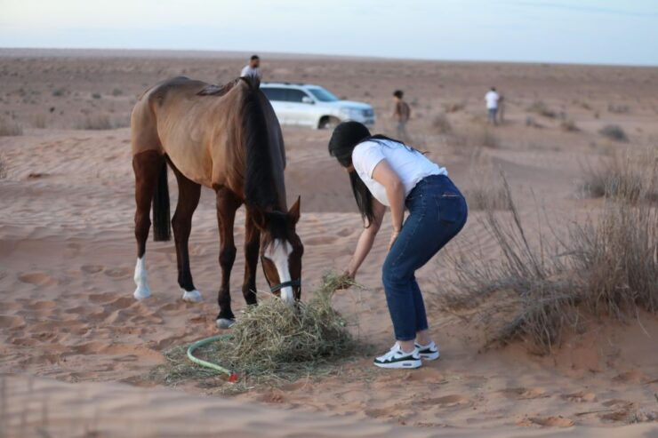 Authentic Tozeur on Horseback With Private Transfer - Activity Details