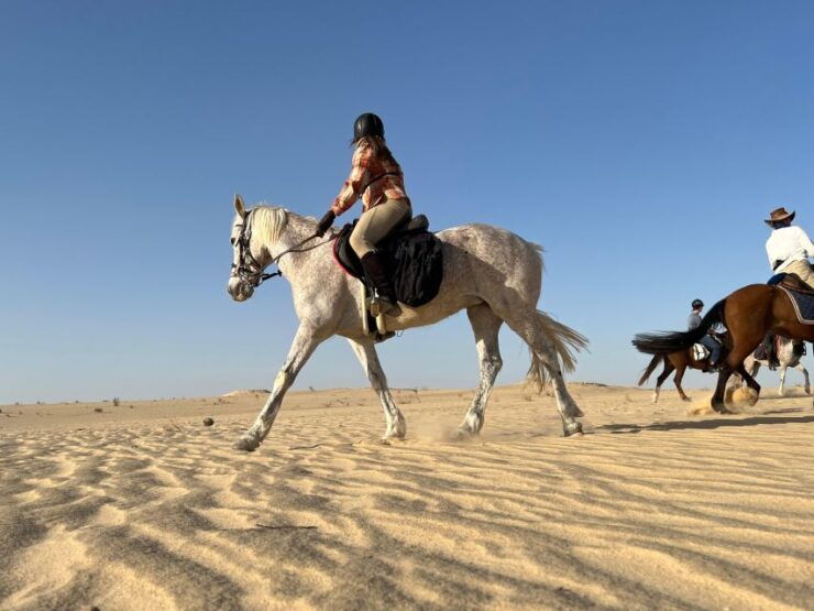 Authentic Tozeur on Horseback With Private Transfer - Experience