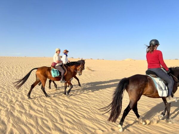 Authentic Tozeur on Horseback With Private Transfer - Safety Instructions