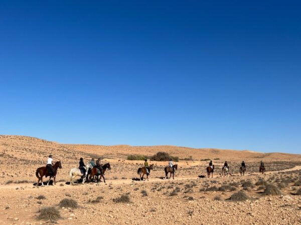 Authentic Tozeur on Horseback With Private Transfer - The Sum Up of the Activity
