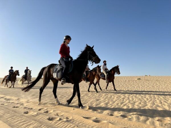 Authentic Tozeur on Horseback With Private Transfer - Additional Information