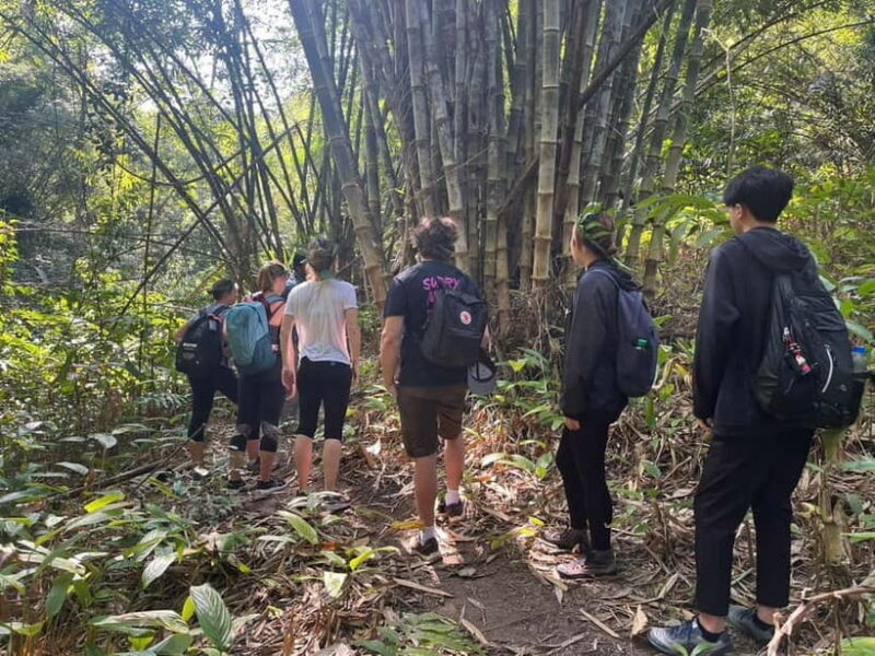 Authentic trek only walk in Chiang Rai jungle - Practical Details and What to Expect