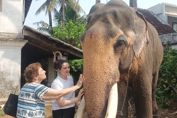 Authentic Tuk Tuk Heritage Tour of Kochi with Local Guide - Good To Know