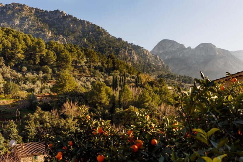 Authentic Vall de Sóller: Day Trip - Good To Know
