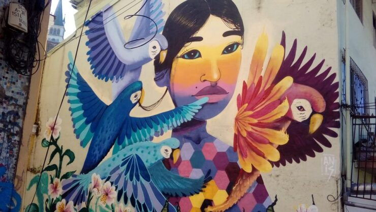 Authentic Valparaiso: Street Art, Funiculars and Port City - Itinerary Description