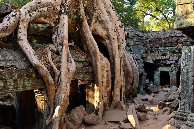 Authentic Vietnam And Cambodia 14-Days - From Hanoi to Siem Reap - Accommodations and Meals