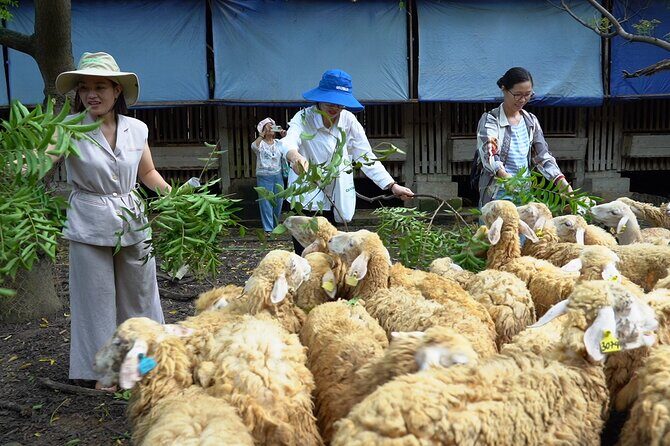 Authentic Vietnam Farming Full Day Small Group Tour - Who Will Love This Experience?