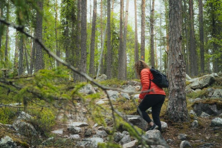 Auttiköngäs Hiking Experience - Booking Details and Logistics
