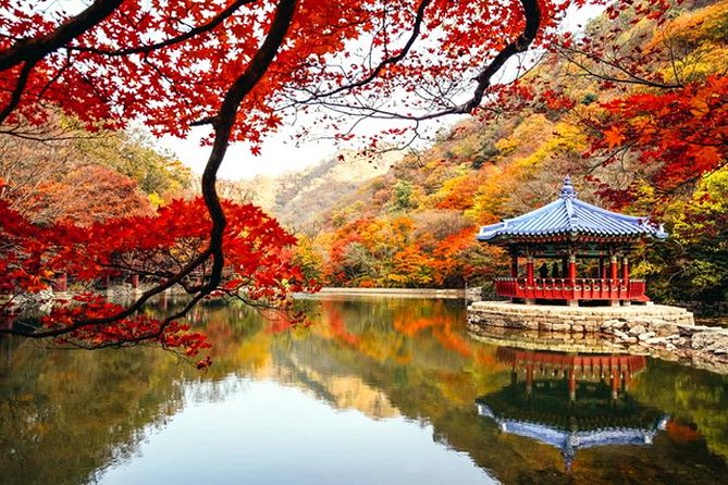 Autumn 3 Days Jeonju&Mt. Naejansan&Seoul on 4-12 Nov - Cancellation Policy for Autumn 3 Days Jeonju&Mt. Naejansan&Seoul on 4-12 Nov