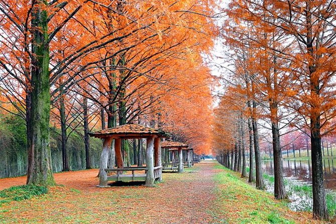 Autumn 8 Days South Korea Tour Including Jeonju,Damyang,Mt.Naejangsan - Damyang: Bamboo Forest and Gardens