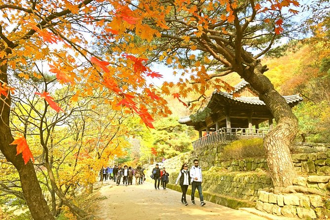 Autumn 8 Days South Korea Tour Including Jeonju,Damyang,Mt.Naejangsan - Cultural Attractions and Traditions