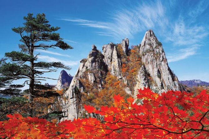 Autumn 8 Days South Korea Tour Including Jeonju,Damyang,Mt.Naejangsan - Booking Information and Contact Details