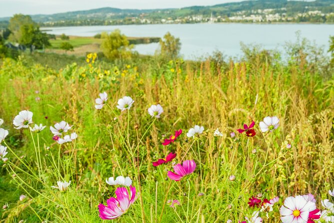 Autumn Adventure of Hidden Gems in Zurich - Private Tour - Common Questions