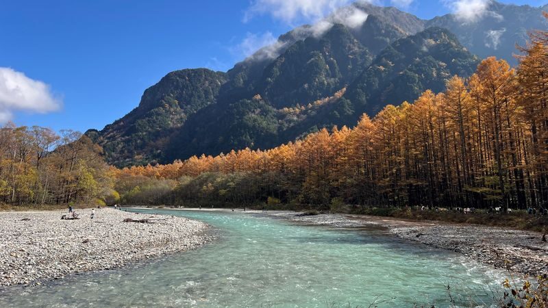 Autumn Colors Exclusive: Scenic Kamikochi 1-Day Bus Tour from Tokyo - Is the limited-season format worth it?
