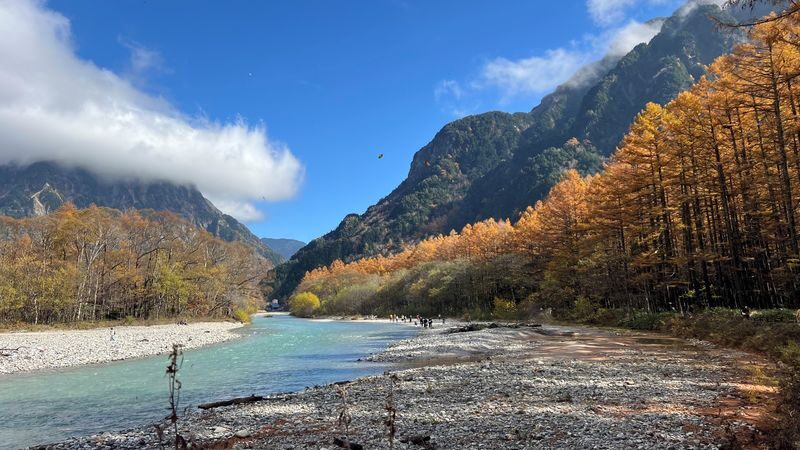 Autumn Colors Exclusive: Scenic Kamikochi 1-Day Bus Tour from Tokyo - How to judge the price
