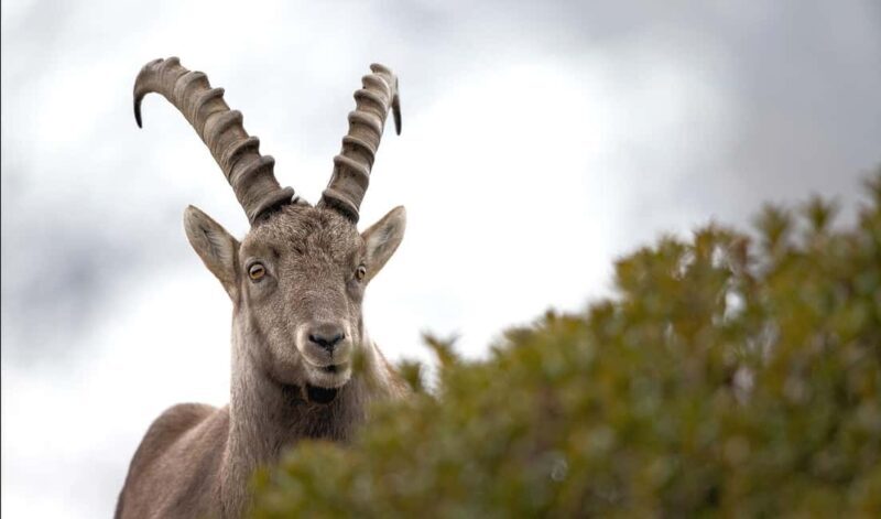 Autumn Colors Hike - Day trip - Group outing - Good To Know