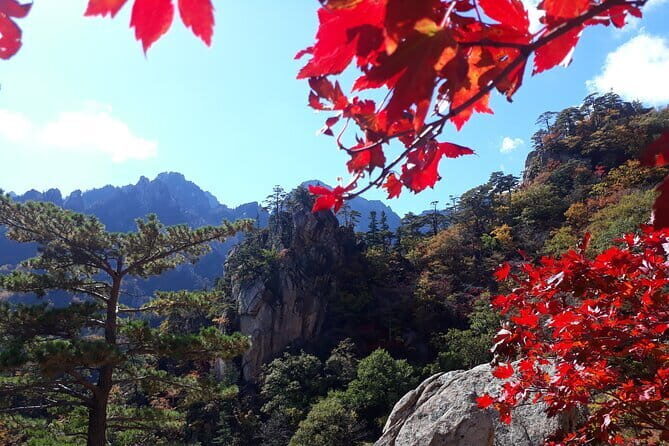 Autumn Foliage-Mt. Seorak, Sokcho Fish Market, Sokcho Beach - Detailed Breakdown of the Itinerary