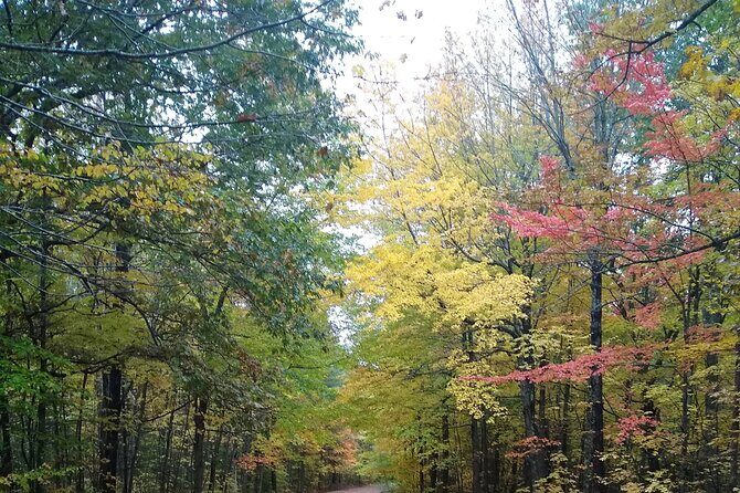 Autumn in Acadia National Park Private Leaf Peeper Driving Tour - Good To Know