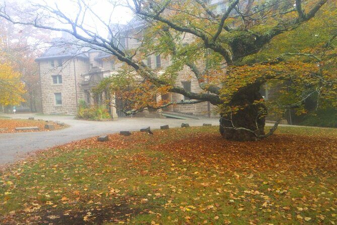 Autumn in Acadia National Park Private Leaf Peeper Driving Tour - Final Words