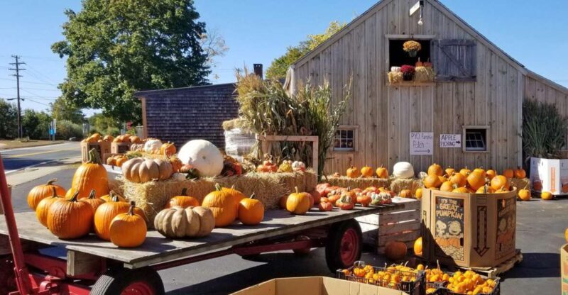 Autumn in New England - What Does the Tour Include?