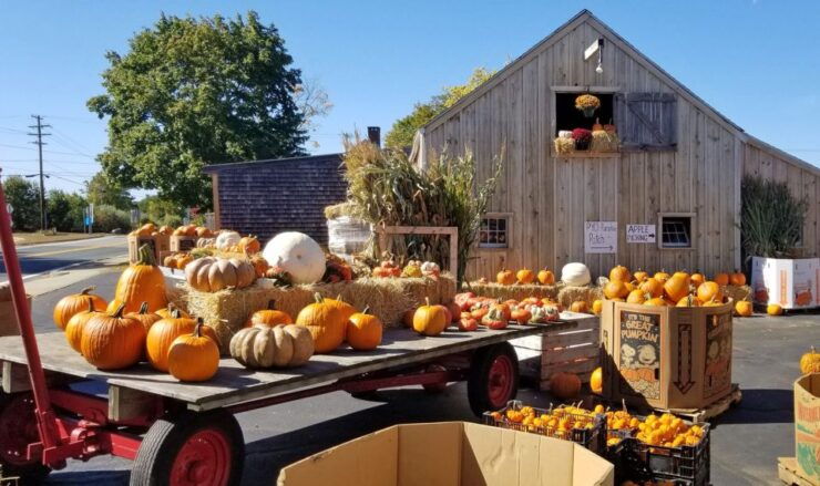 Autumn in New England - Top Fall Activities in New England