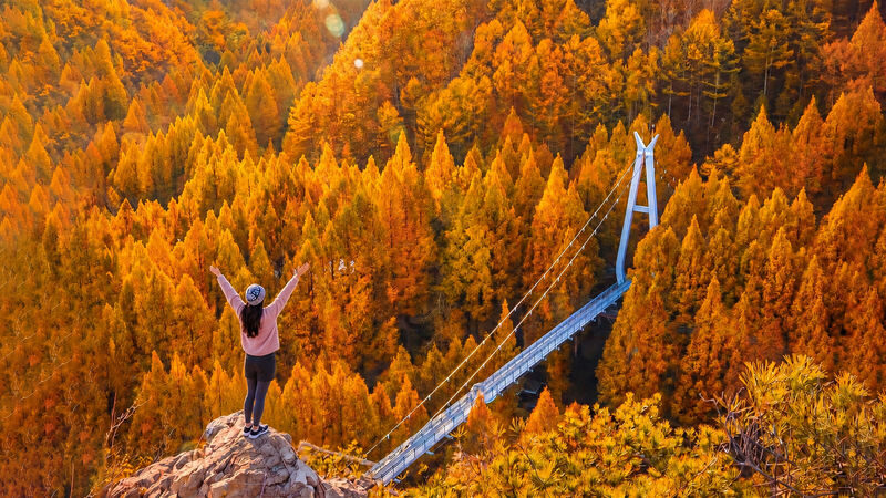 Autumn Jangtaesan Forest & Sungsimdang Bakery Day Tour from Seoul - The morning ride from Seoul