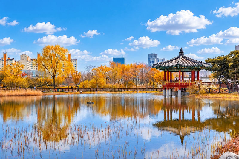Autumn Jangtaesan Forest & Sungsimdang Bakery Day Tour from Seoul - Is the price worth it?