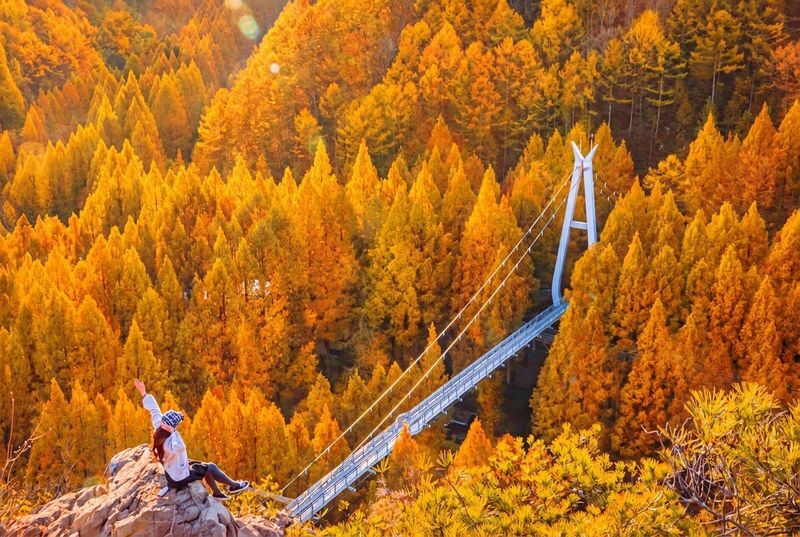 Autumn Jangtaesan Forest & Sungsimdang Bakery Day Tour from Seoul - Practical notes before you reserve