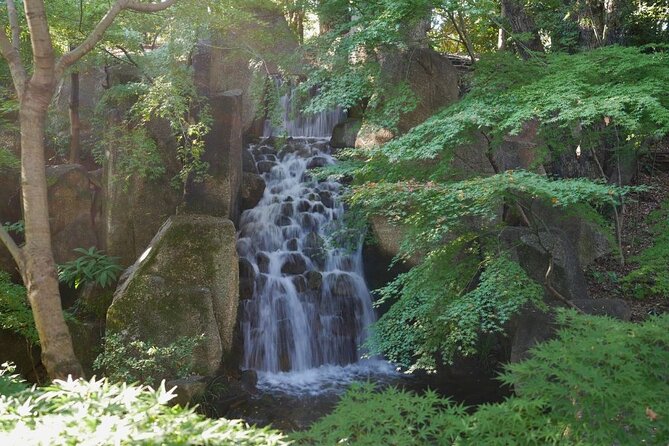 Autumn Leaves Private Tour in Nagoya - Cancellation Policy