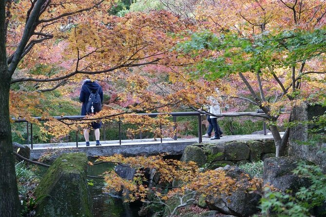 Autumn Leaves Private Tour in Nagoya - The Sum Up