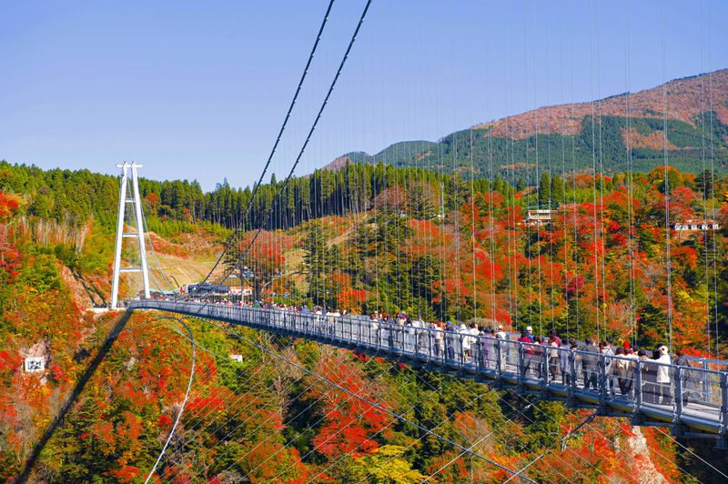 Autumn Limited: Kokonoe Bridge, Usa Shrine, Yabakei from Fukuoka - A Fukuoka start for Oita’s autumn country