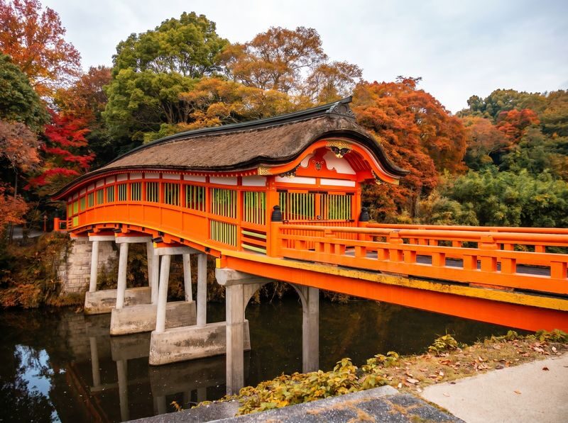 Autumn Limited: Kokonoe Bridge, Usa Shrine, Yabakei from Fukuoka - Is the day trip worth the price?