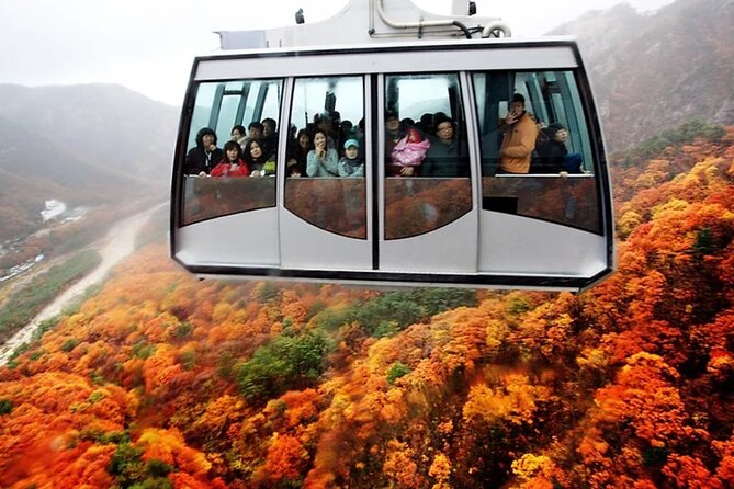 Autumn Limited: Seoraksan X Maple Mountain Cable Car Tour - Exploring the Maple Mountain Cable Car
