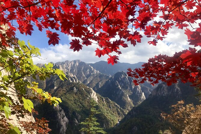 Autumn Limited: Seoraksan X Maple Mountain Cable Car Tour - Stunning Fall Foliage: A Visual Feast
